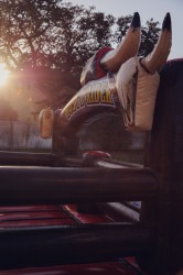 L9A0015 1767658201 Mechanical Bull