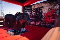 Wild Steve Mechanical Bull