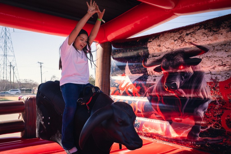 Mechanical Bull Mechanical Bull